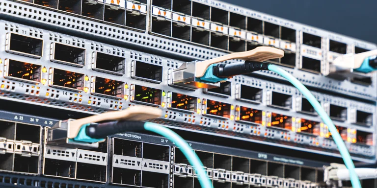 Network cables connected to a web server